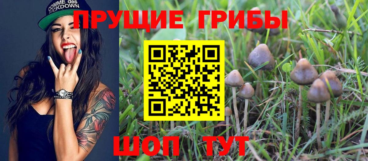 Псилоцибиновые грибы мицелий  Вход с VPN  Брянск  Псилоцибиновые грибы мухоморы 